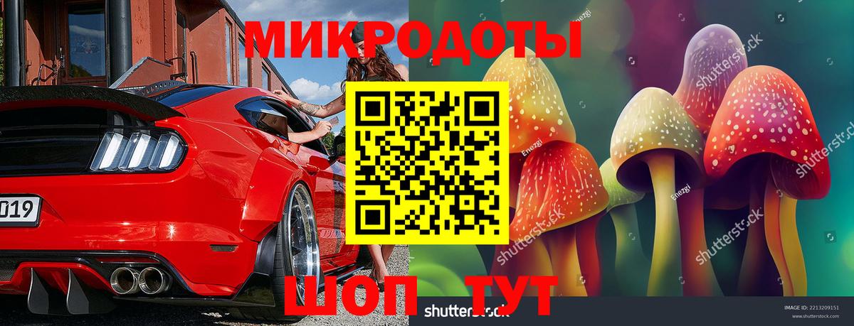 Псилоцибиновые грибы Psilocybine cubensis  Вход с VPN  Богданович 