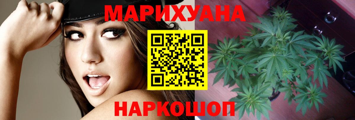 Конопля MAZAR  Канабис сатива  Богданович  Вход с VPN 